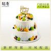 蓝梦果缤纷双层生日蛋糕 商品缩略图1