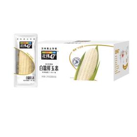 北纬47°白甜糯玉米200g*10袋(箱)