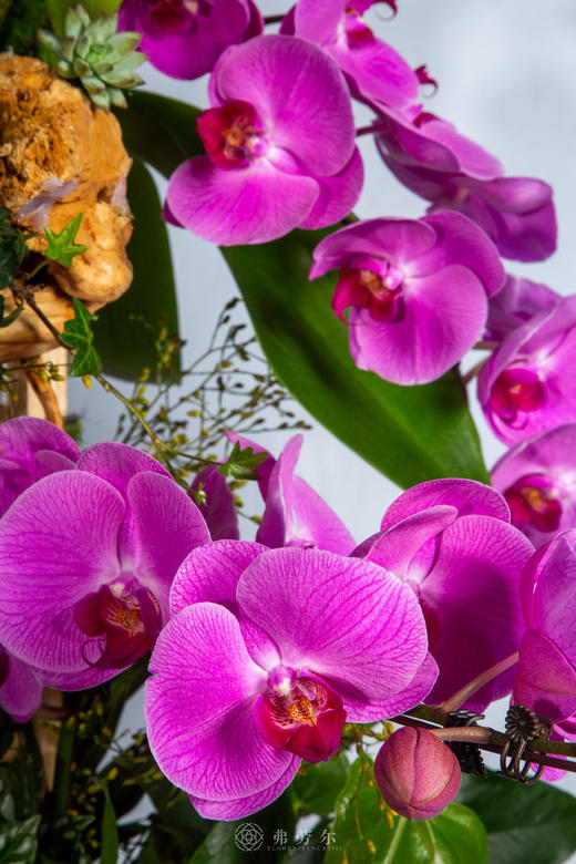 马上遇贵人 商品图2