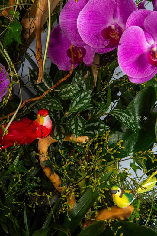 马上遇贵人 商品图3