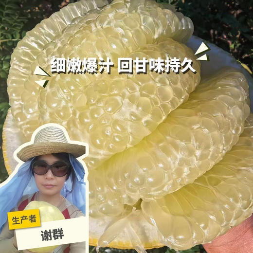 生态象宝柚（丑柚子）| 合作生产* Ecological elephant pomelo | Partner Productionn 商品图0