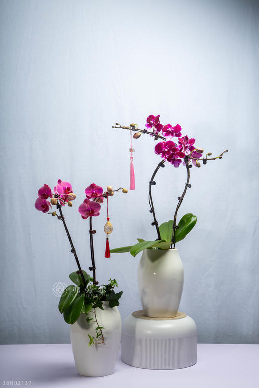 马驰祥云路 商品图1