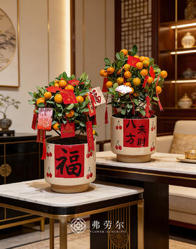 金玉满堂-金桔盆栽