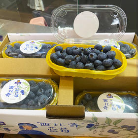 L25花香蓝莓18+（礼盒）8盒*200g