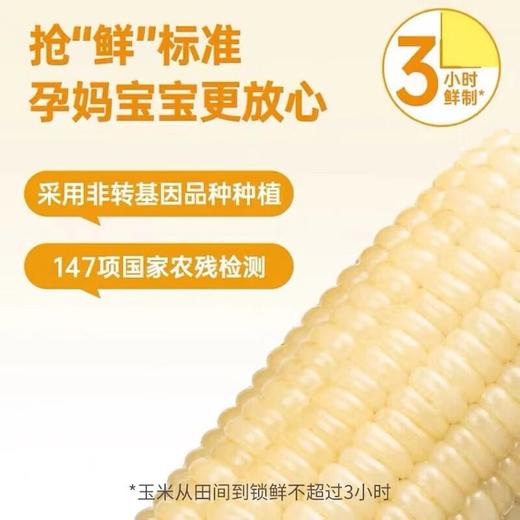 北纬47°白甜糯玉米200g*10袋(箱) 商品图1