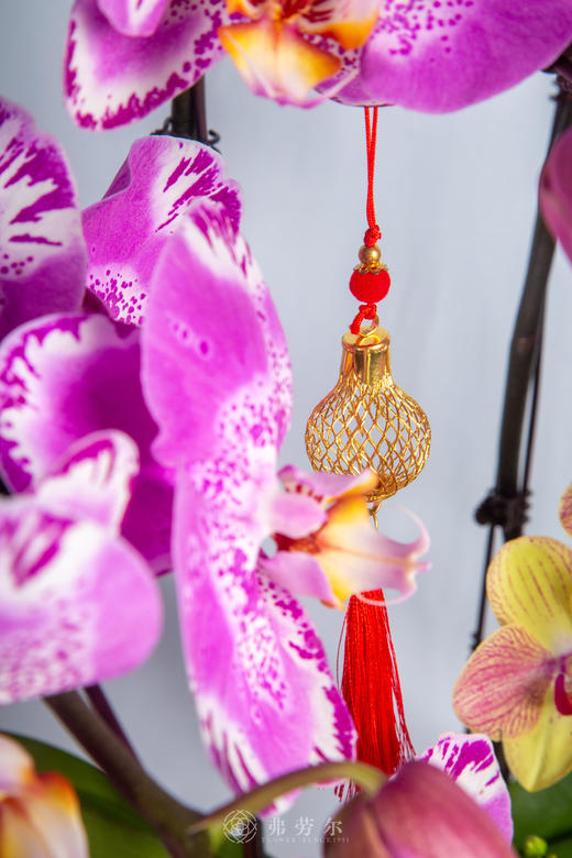 良驹载德来 商品图3