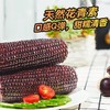 北纬47°黑珍珠甜糯玉米200g*10袋(箱) 商品缩略图2