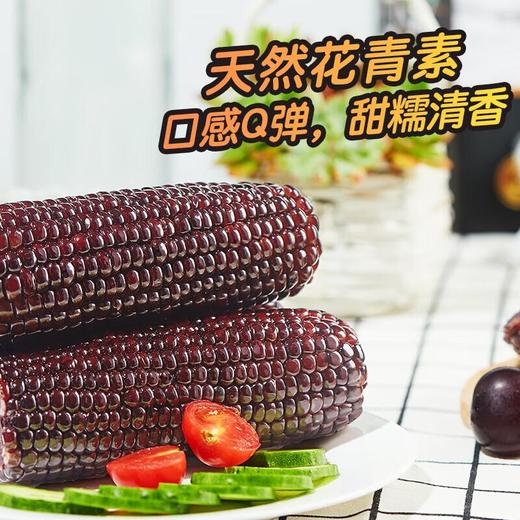 北纬47°黑珍珠甜糯玉米200g*10袋(箱) 商品图2