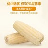 北纬47°白甜糯玉米200g*10袋(箱) 商品缩略图4