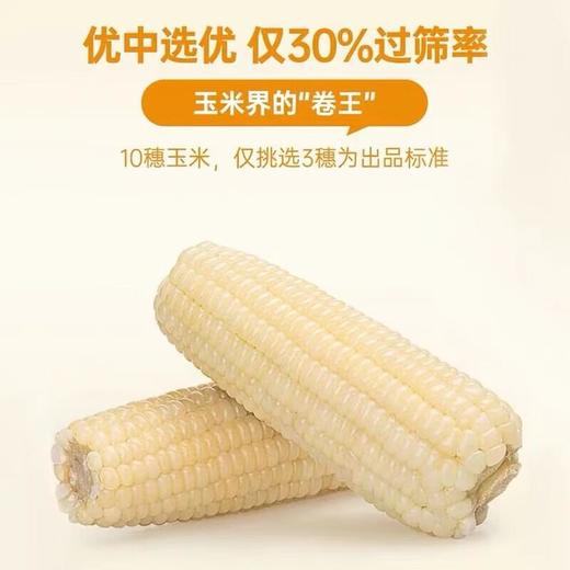 北纬47°白甜糯玉米200g*10袋(箱) 商品图4