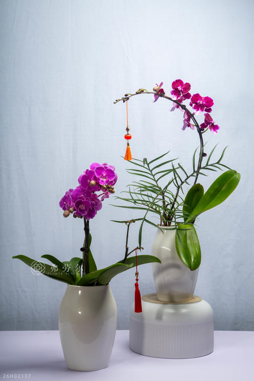 马驰祥云路 商品图0