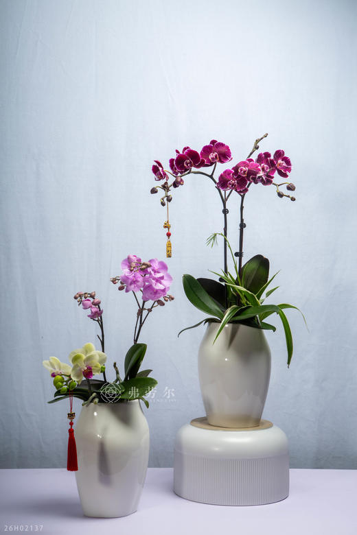 马驰祥云路 商品图2