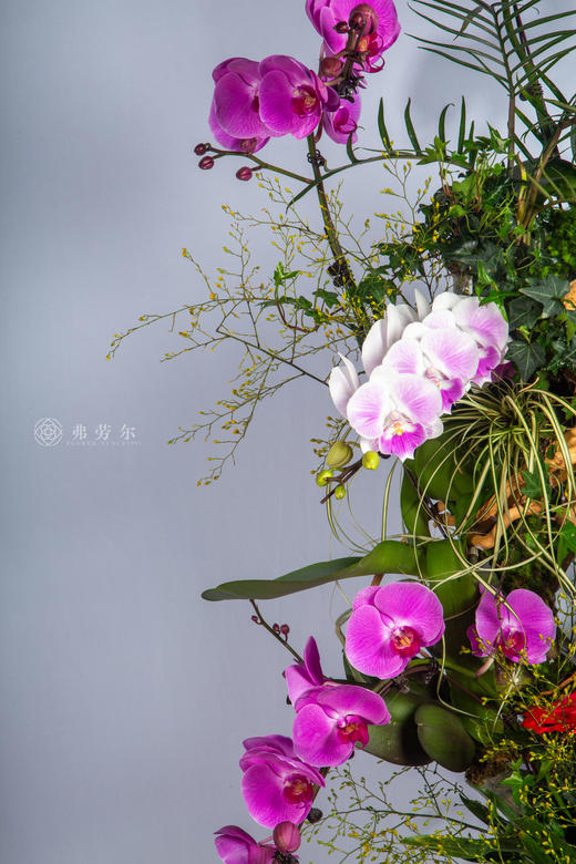 马上遇贵人 商品图1