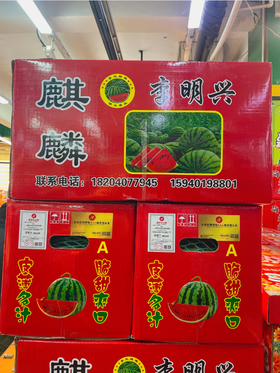 2粒李明星西瓜礼盒
