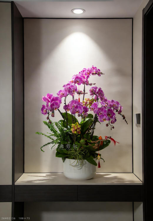 良驹载德来 商品图0