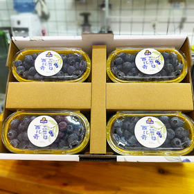 L25花香蓝莓22+（礼盒）8盒*200g