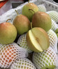 玉露香梨  散装   脆嫩爽甜 商品缩略图1