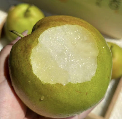 玉露香梨  散装   脆嫩爽甜 商品图0