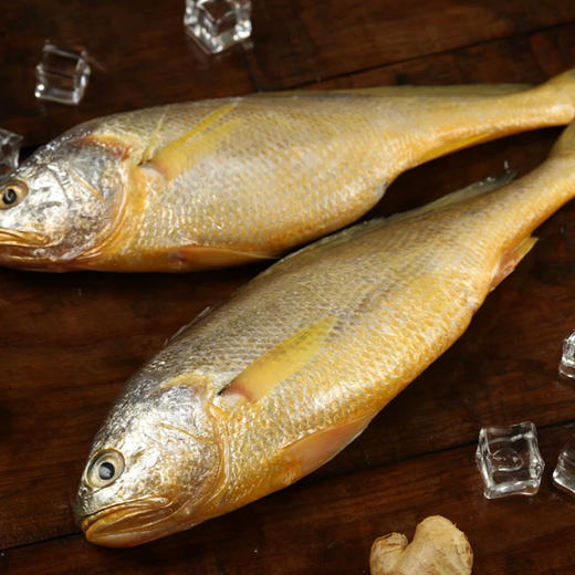 味尔佳-生态黄花鱼1050-1150g/条 商品图1