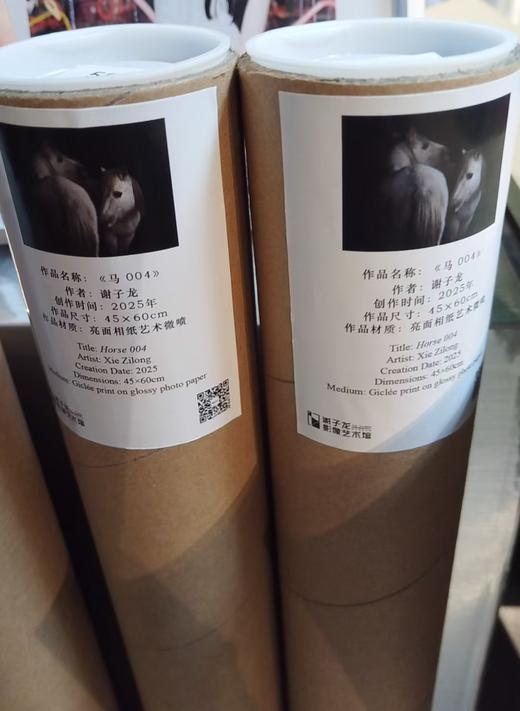 白马004海报 商品图1