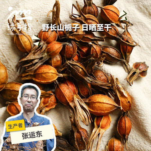 野生栀子 | 合作生产 * Wild gardenia | Partner Production 商品图0