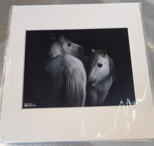 白马004版画 商品图2