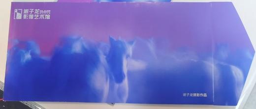 粉蓝马年红包（小） 商品图0