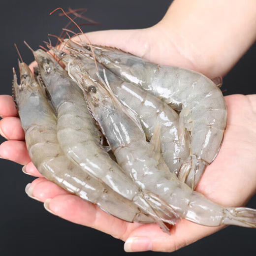 盐冻南美白虾20/30 1.5kg/盒（厄瓜多尔） 商品图1