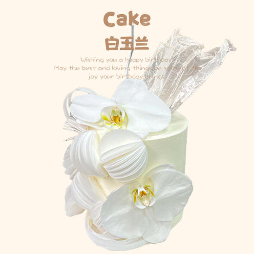 白玉兰（提前5小时订购） 商品图0