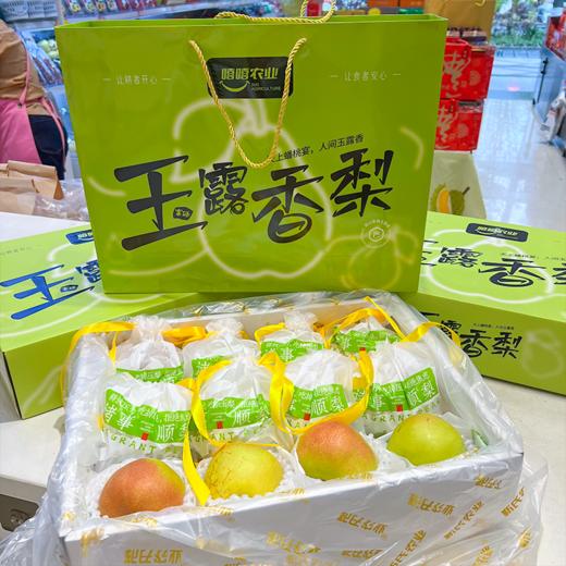 嘻嘻农业玉露香梨 今年新梨 礼盒装 商品图0