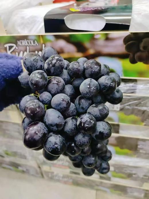 玫瑰香黑提一斤 商品图0