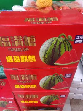 福满堂麒麟西瓜一箱