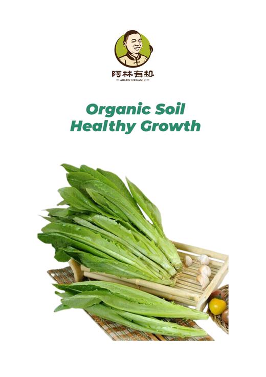 有机油麦菜500g 商品图0