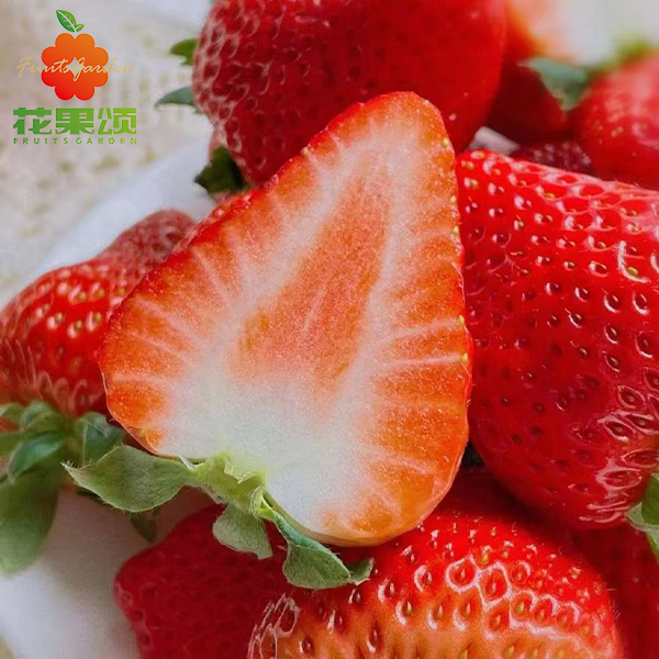 红颜草莓中小果