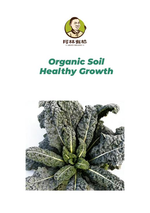 有机黑优羽衣甘蓝 商品图1