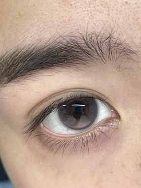 BOLLYCON 日抛  莓好方糖/水墨冰茶（粉棕/灰 14.2最高800）