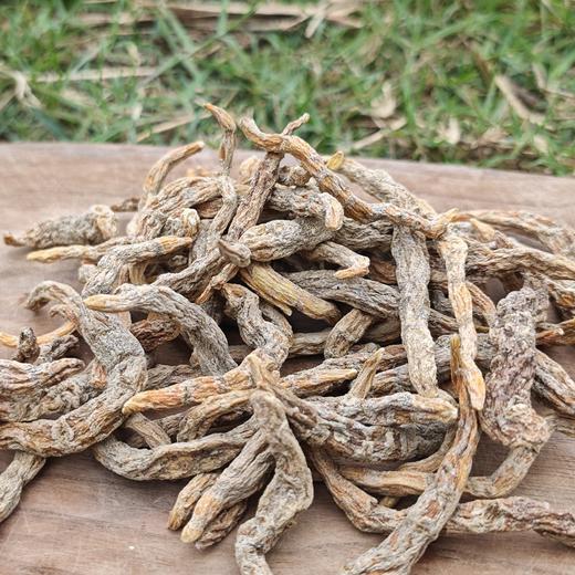 生态生地黄 | 合作生产*Eco-Huaidihuang | Coproducted 商品图1