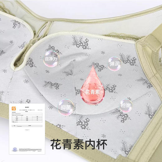 皇家丽美韶华系列 青素养护文胸 小胸显大不空杯加高侧比收副乳按摩杯聚拢内衣WW2509-3 商品图3