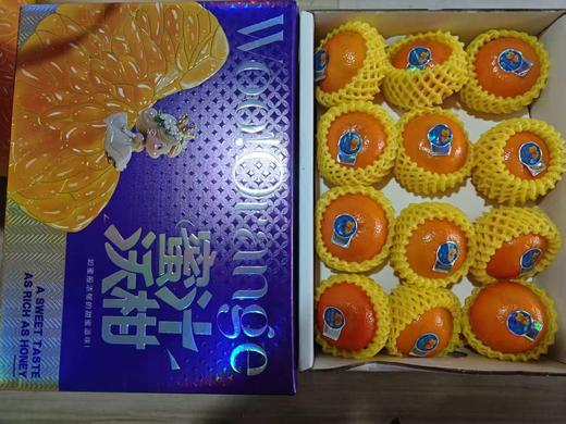沃柑礼盒（2.5kg）【GA】 商品图0