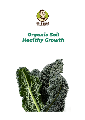 有机黑优羽衣甘蓝