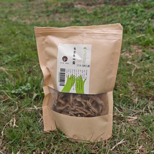 生态生地黄 | 合作生产*Eco-Huaidihuang | Coproducted 商品图3