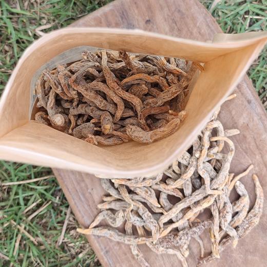 生态生地黄 | 合作生产*Eco-Huaidihuang | Coproducted 商品图2