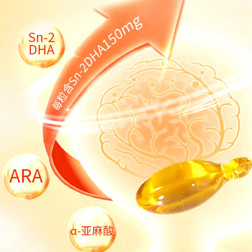 提拉米DHA藻油 0.4g*90粒/罐 商品图4
