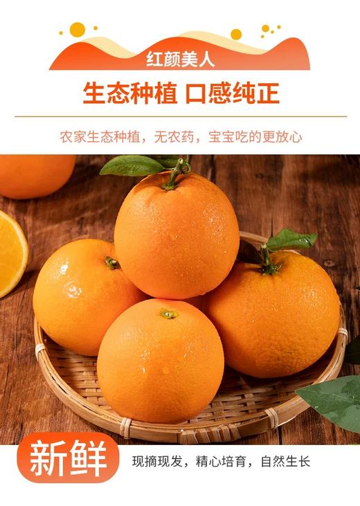 【助农】新溪源 秭归红纽荷尔9斤 果径大于等于85mm 商品图7