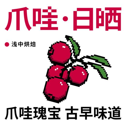 捌比特 印尼苏门答腊爪哇 Java浅中烘焙手冲精品日晒咖啡豆 100g 商品图1