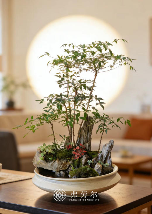 水陆造景 商品图0