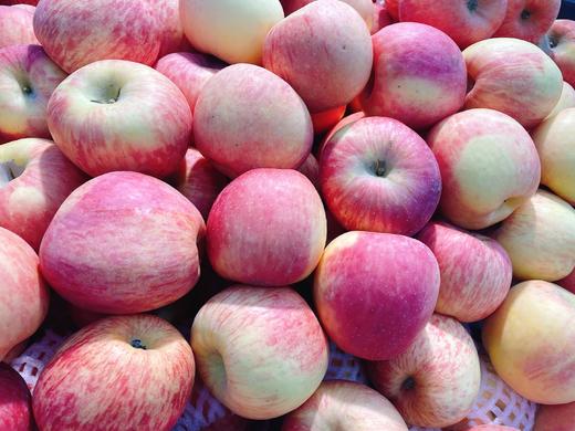 阿克苏苹果5斤 商品图0