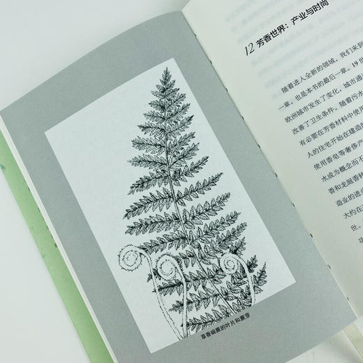 读者书店 | 《芳香世界：香味的博物志》从简朴的花园到影响深远的历史事件，人类和植物共同创造了许多充满芬芳的故事 商品图2