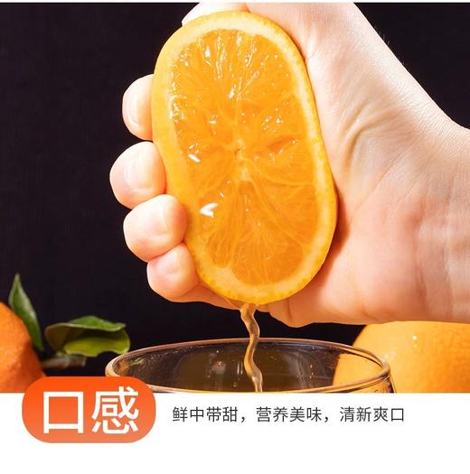 【助农】新溪源 秭归红纽荷尔9斤 果径大于等于85mm 商品图4