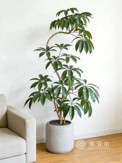 落地灰盆保罗 商品图0